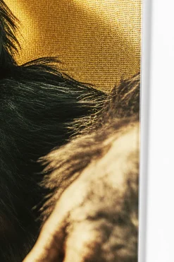 Glasbild Holiday Monkey 80x60cm