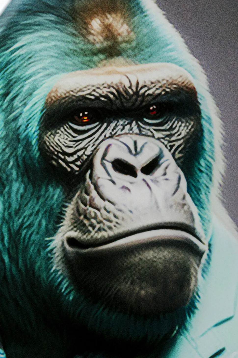 Glasbild Mister Gorilla Blau 60x90cm