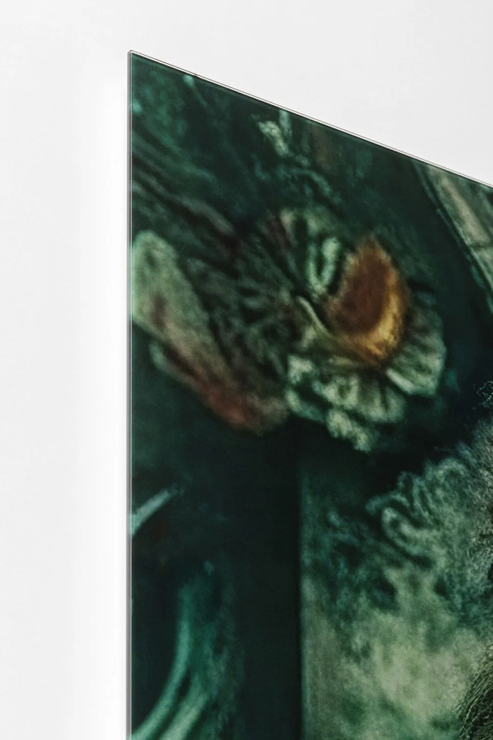 Glasbild Mister Lion 150x100cm