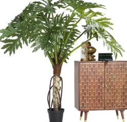 Kommode Muskat 2 Türen