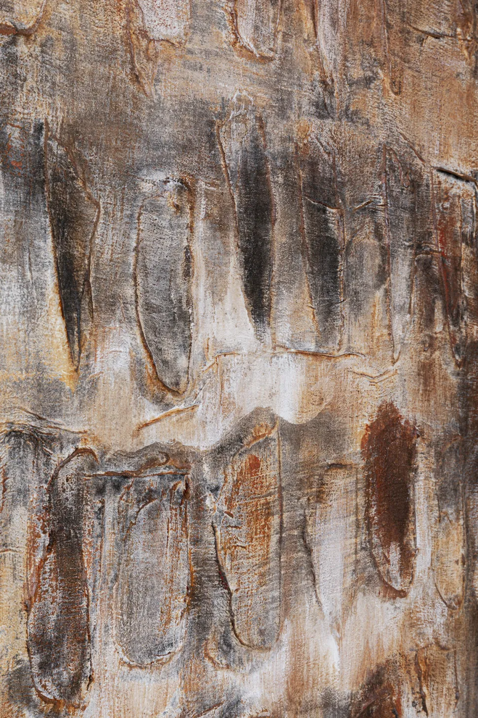 Leinwandbild Shadows Braun 90x120cm