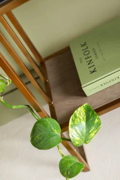 Regal Cesaro 90x170cm