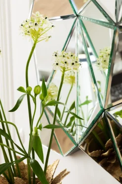 Spiegel Prisma 120x80cm