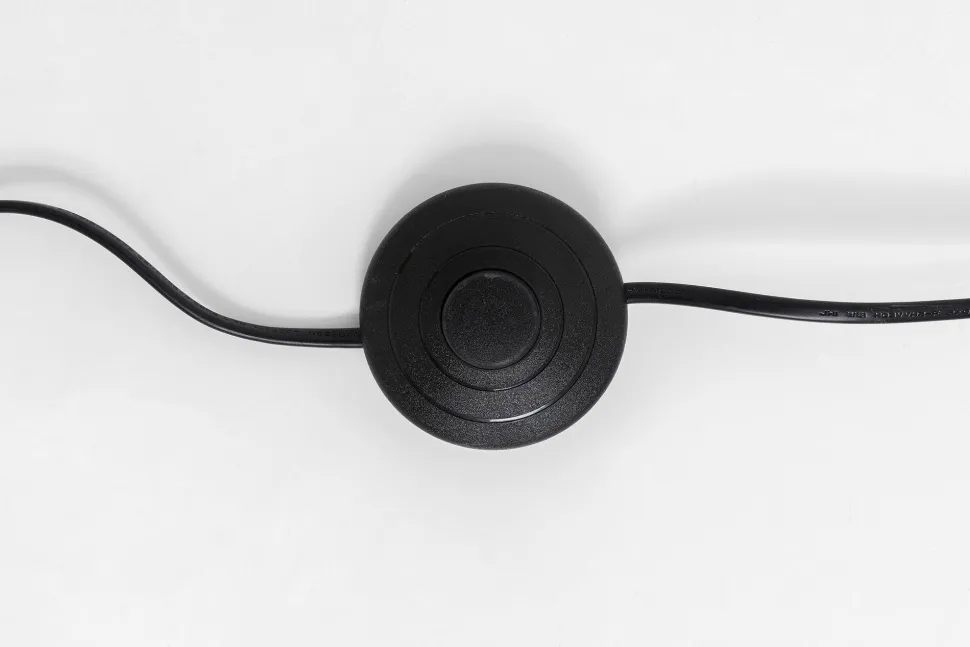 Stehleuchte Animal Parrot Gold 176cm