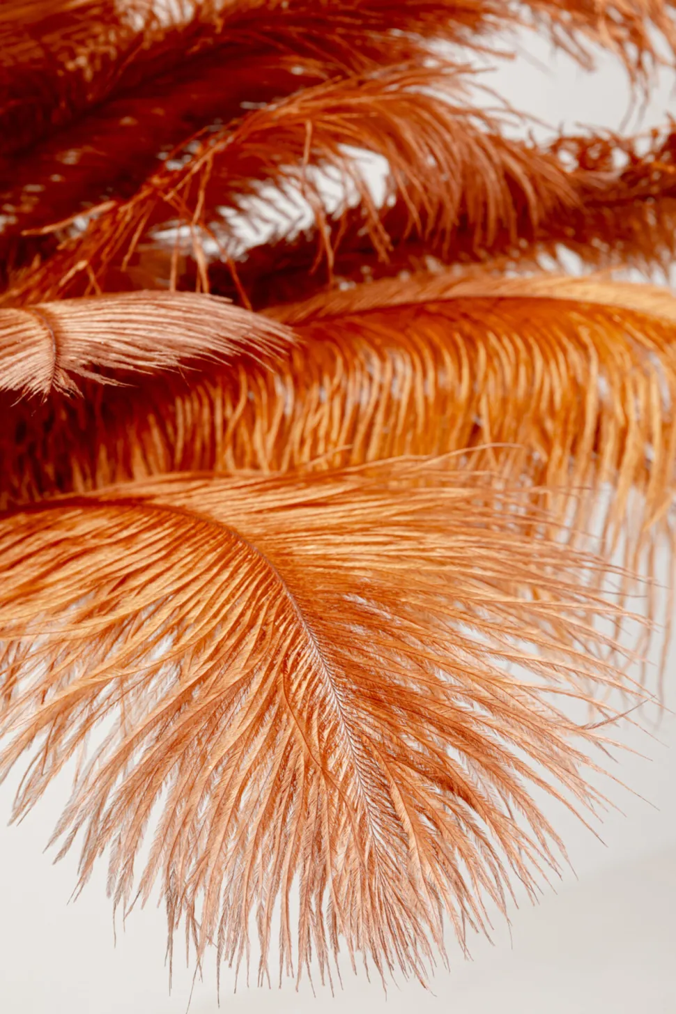 Stehleuchte Feather Palm Braun 165cm