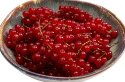 Teller Tief Laguna Blau Ø20cm