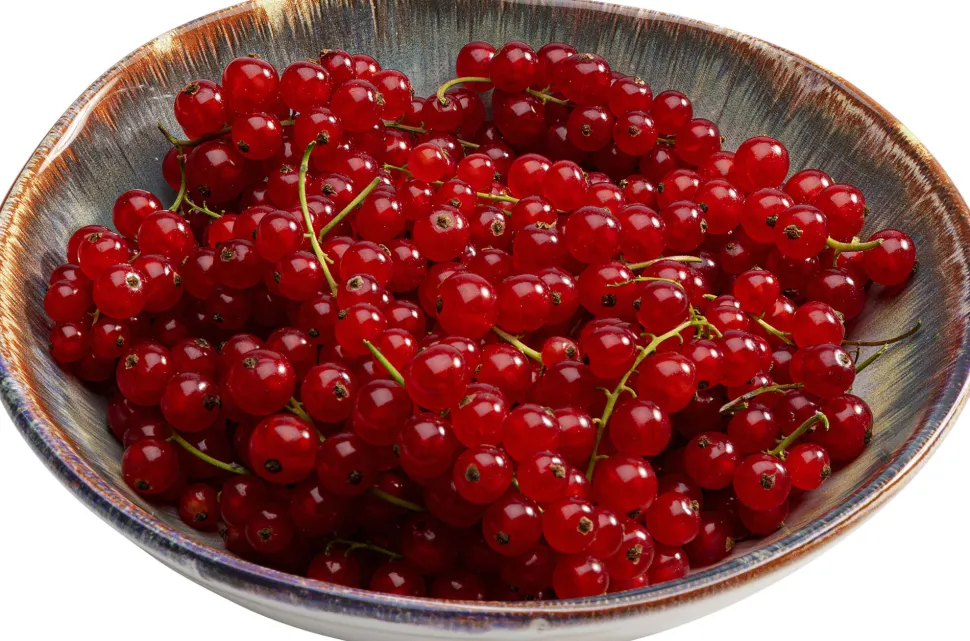 Teller Tief Laguna Blau Ø20cm