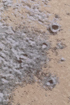 Teppich Colombu Powder 200x300cm