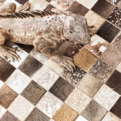 Teppich Cosmo Grau Fur 170x240cm