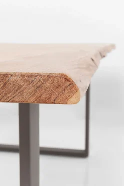 Tisch Harmony Rohstahl 200x100