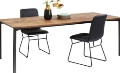 Tisch Phoenix 100x220cm