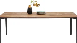 Tisch Phoenix 100x220cm