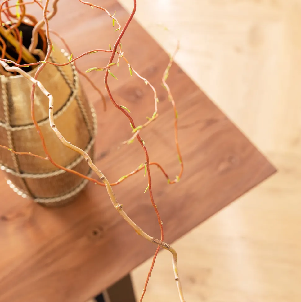 Tisch Symphony Dunkel Schwarz 160x80