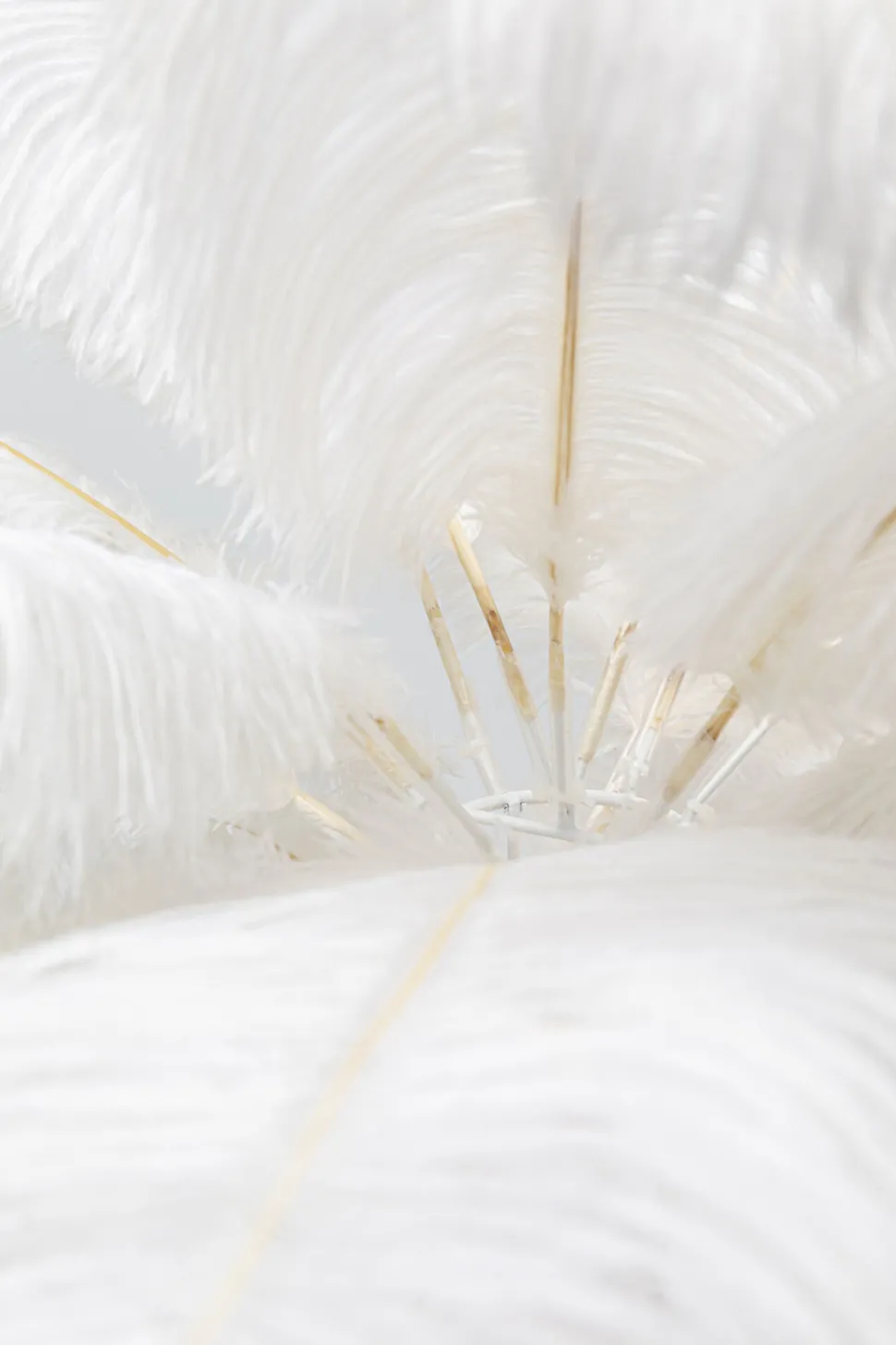 Tischleuchte Feather Palm Weiß 60cm