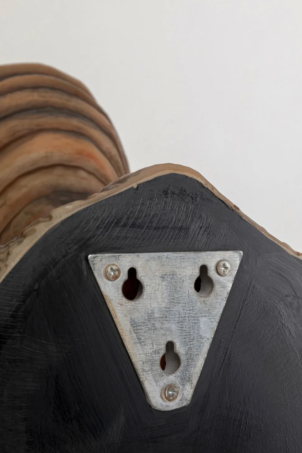 Wandleuchte Animal Dino 36cm