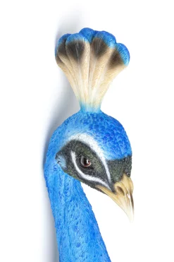 Wandschmuck Peacock